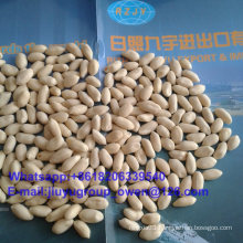 Top Quality Food Grade Blanched Peanut Groundnut